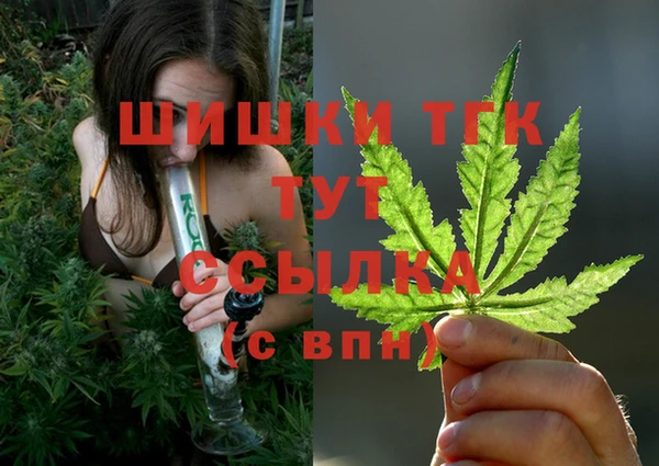 соль ск Богданович